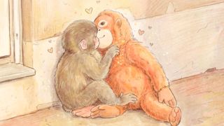 ぬいぐるみを抱きしめるパンチくん