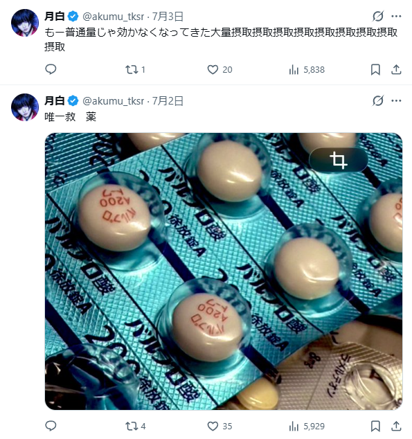 惡夢・月白に何があった？精神障害者手帳の投稿から見える心境の変化とは　薬　病気